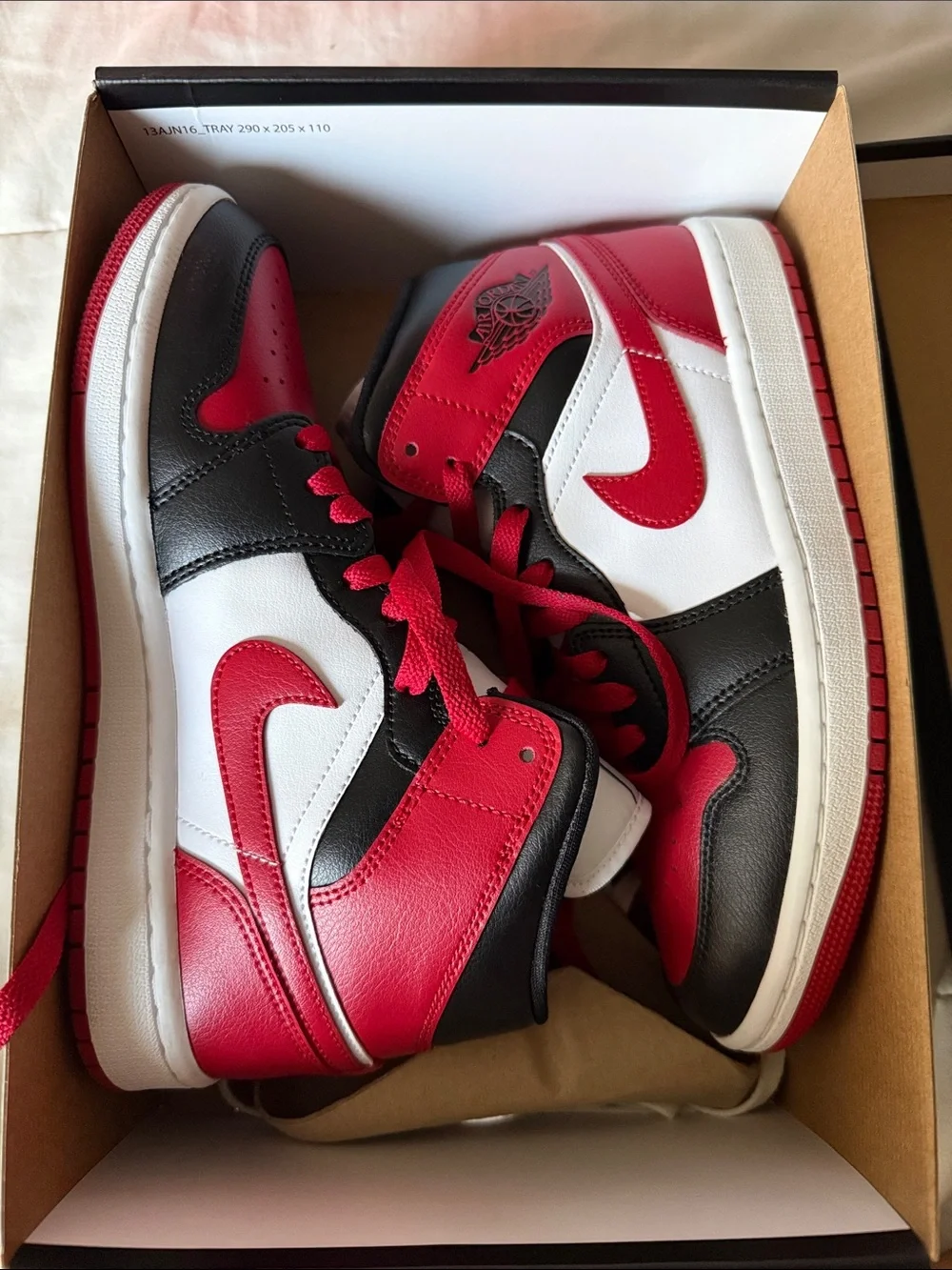 Women’s red Nike dunk shoes